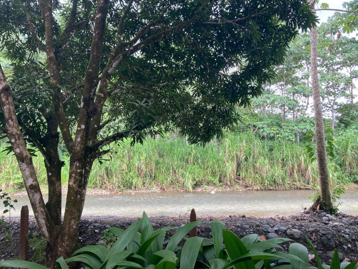 Yejos Jungle Lodge Dos Brazos Екстериор снимка