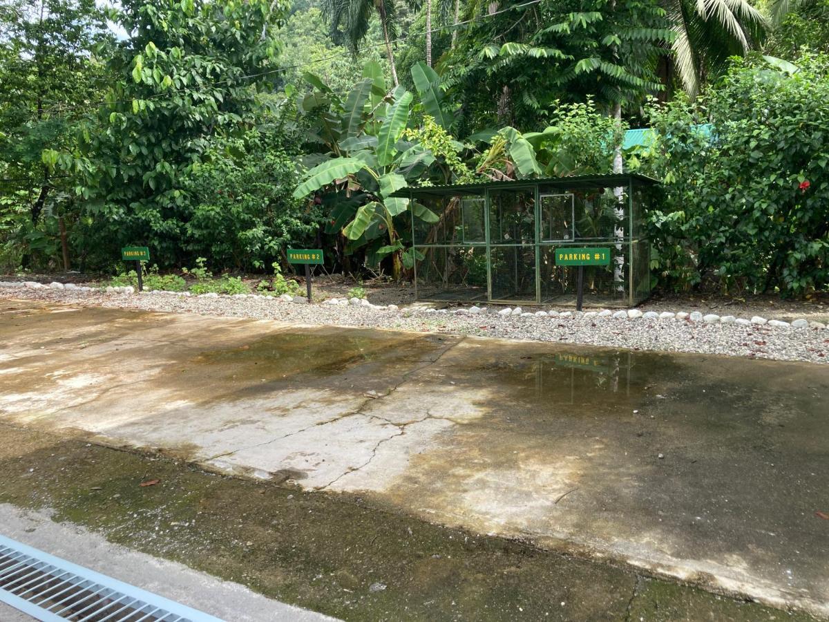 Yejos Jungle Lodge Dos Brazos Екстериор снимка