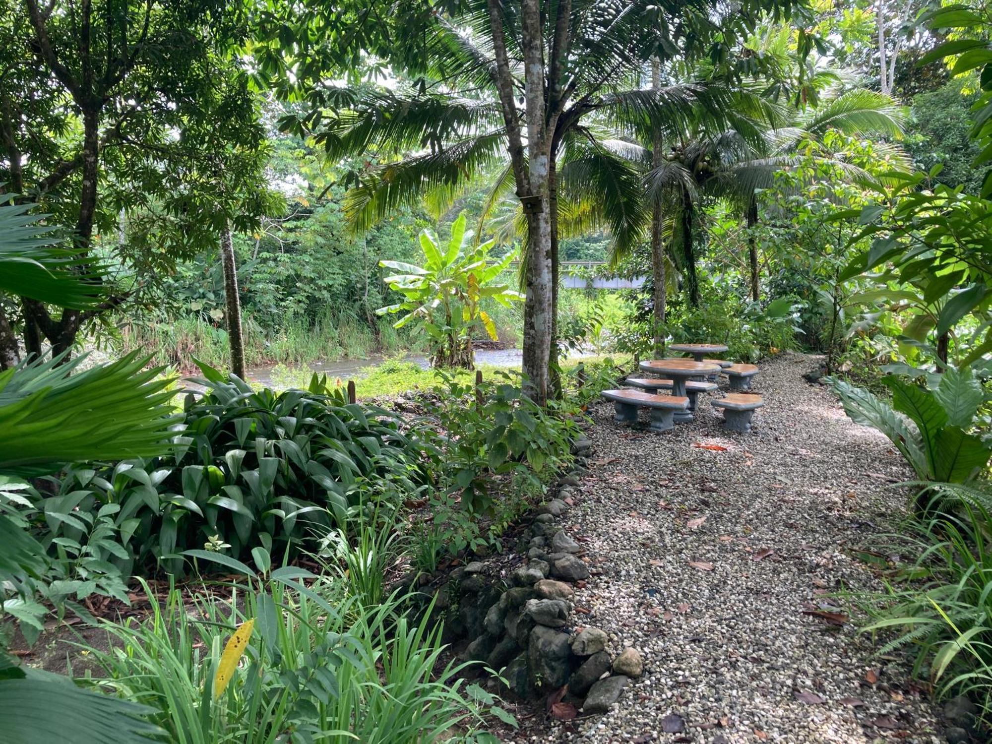 Yejos Jungle Lodge Dos Brazos Екстериор снимка
